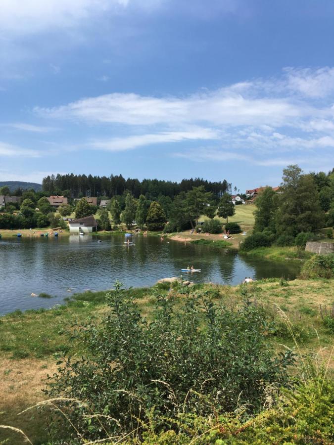 Zu Hause Am See - Pool, Sauna, Fitnessraum Schluchsee Dış mekan fotoğraf