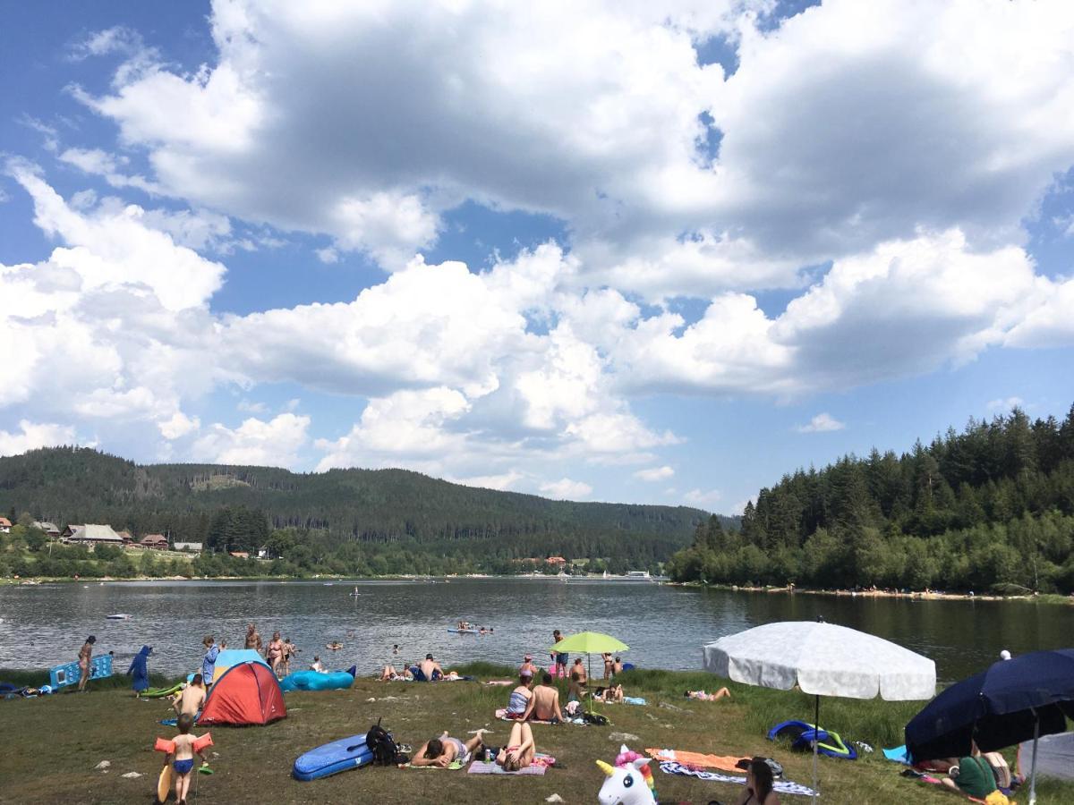 Zu Hause Am See - Pool, Sauna, Fitnessraum Schluchsee Dış mekan fotoğraf
