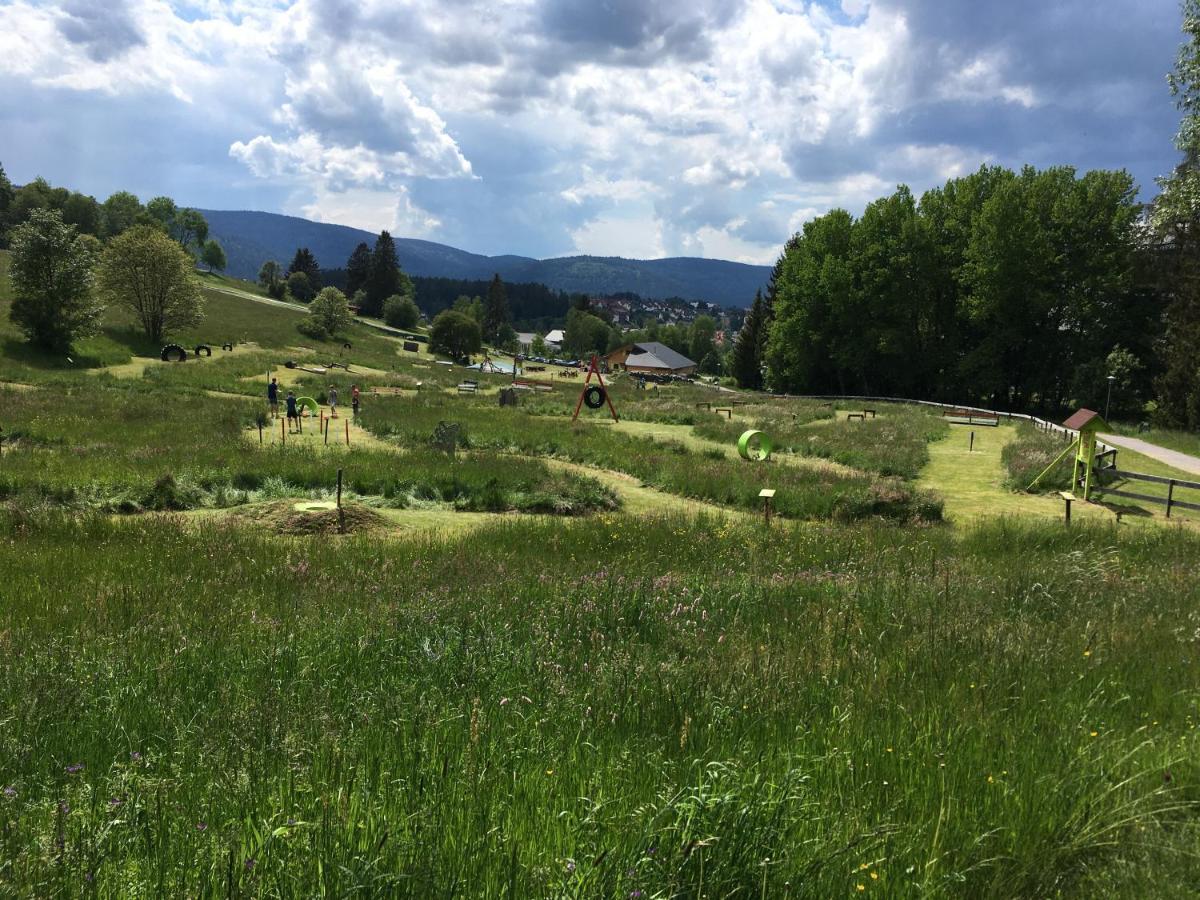 Zu Hause Am See - Pool, Sauna, Fitnessraum Schluchsee Dış mekan fotoğraf
